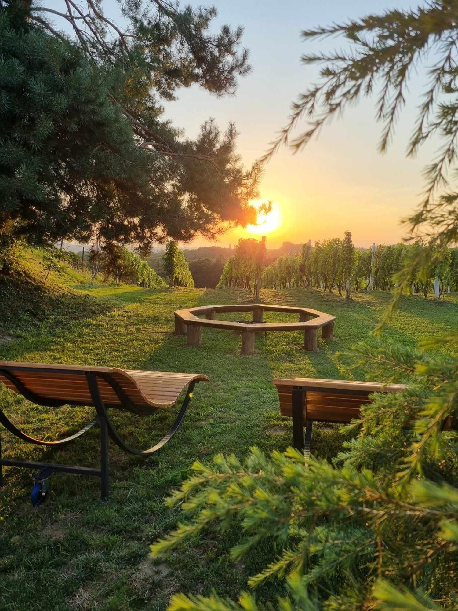 Villa Pocitniska Hisa Soncni Vrh à Spodnji Ivanjci Extérieur photo