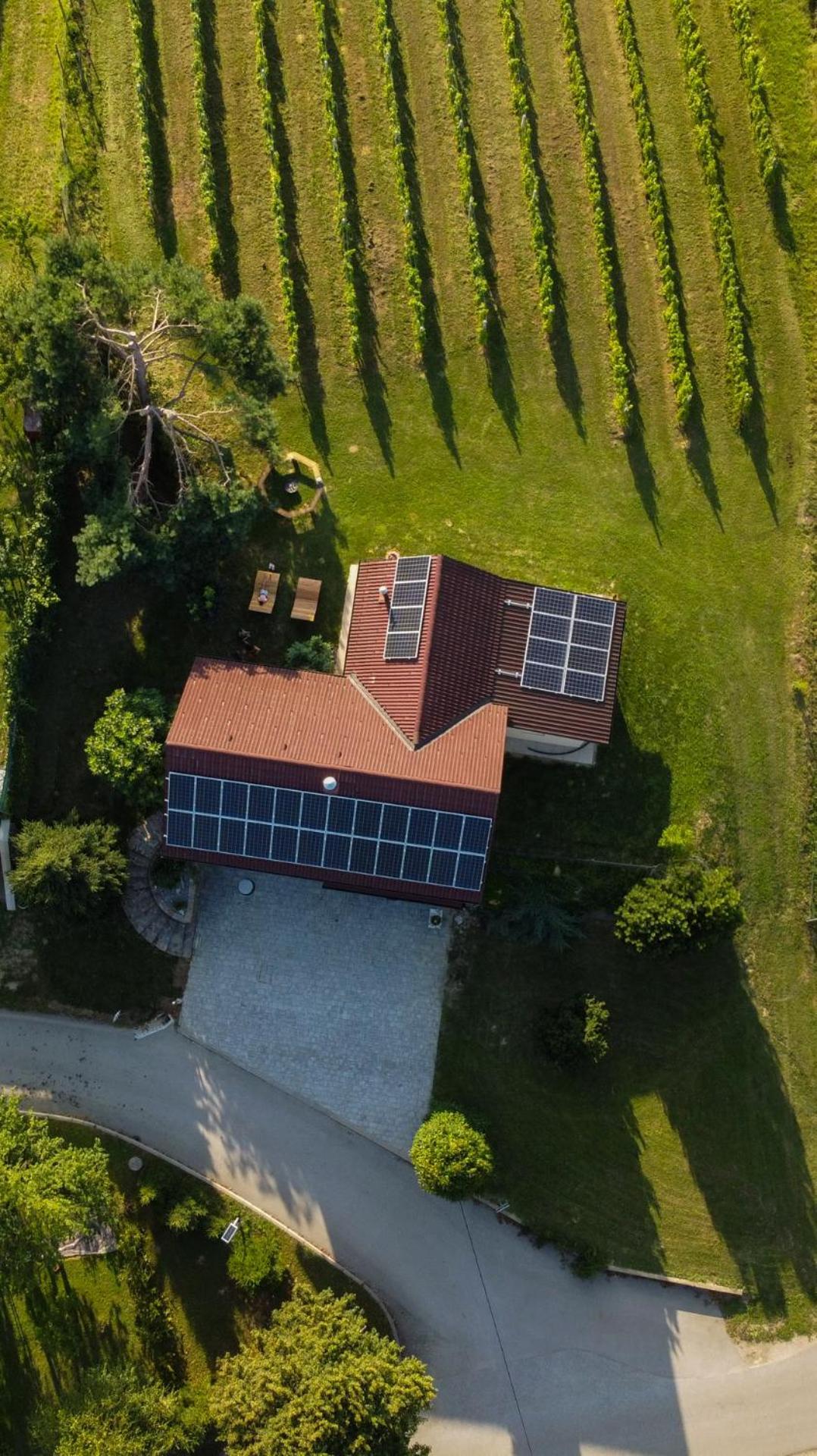 Villa Pocitniska Hisa Soncni Vrh à Spodnji Ivanjci Extérieur photo