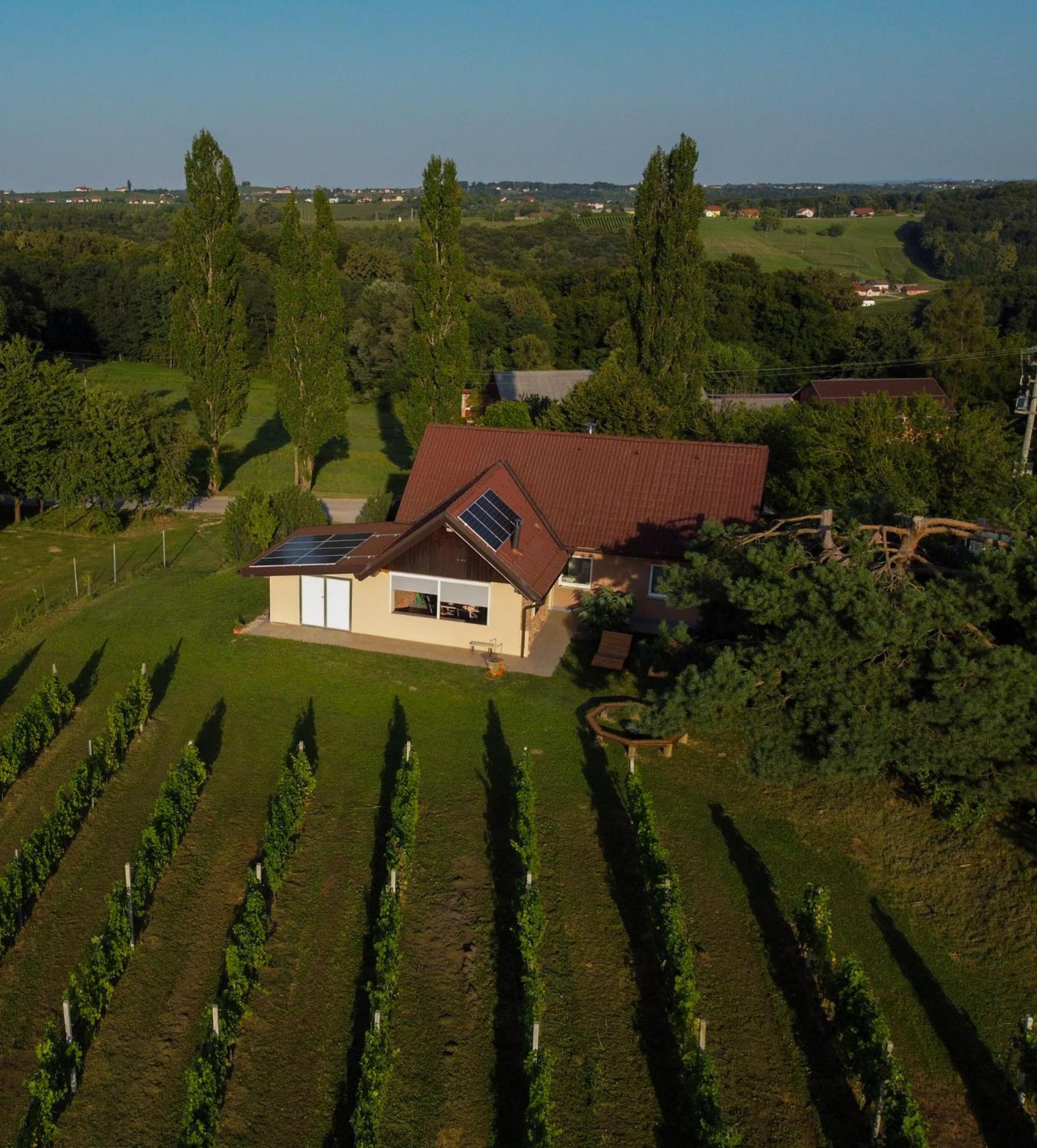 Villa Pocitniska Hisa Soncni Vrh à Spodnji Ivanjci Extérieur photo